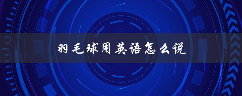 羽毛球用英语怎么说（乒乓球英文怎么说）