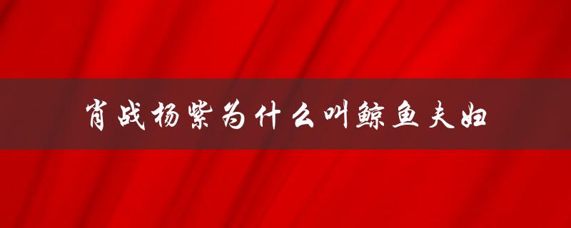 肖战杨紫为什么叫鲸鱼夫妇（肖战杨紫同款项链是什么）