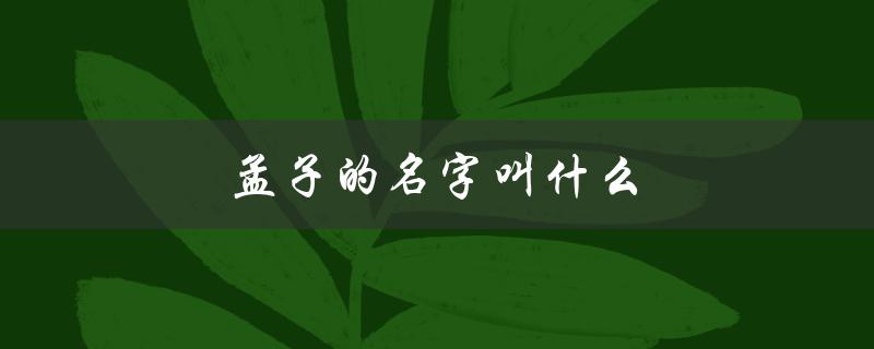 孟子的名字叫什么（孟子的字是什么（5个字））