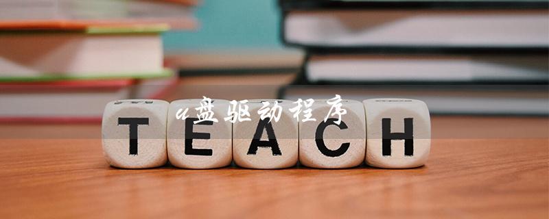 u盘驱动程序（U盘驱动无法使用）