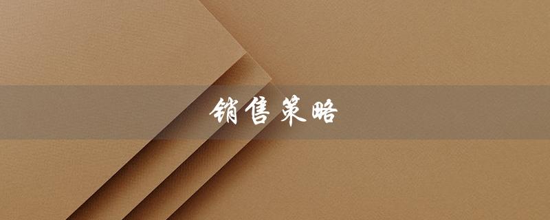 销售策略（销售策略方案是什么）