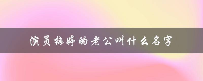演员梅婷的老公叫什么名字（梅婷前夫姓名）