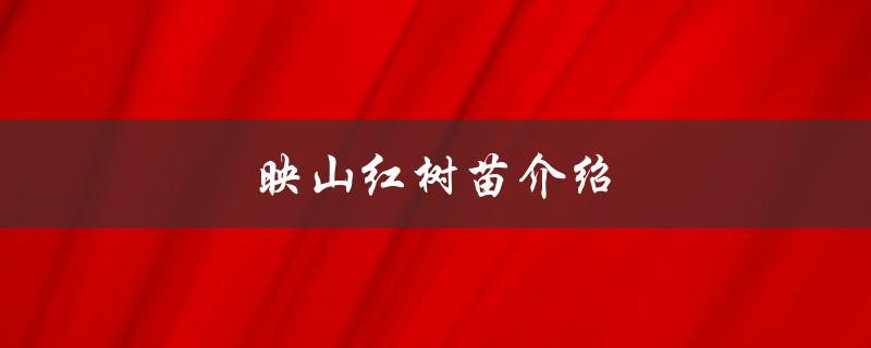 映山红树苗介绍（映山红树苗价）