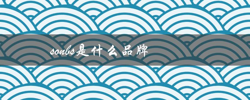 sonbs是什么品牌（sonbs是何品牌音响）
