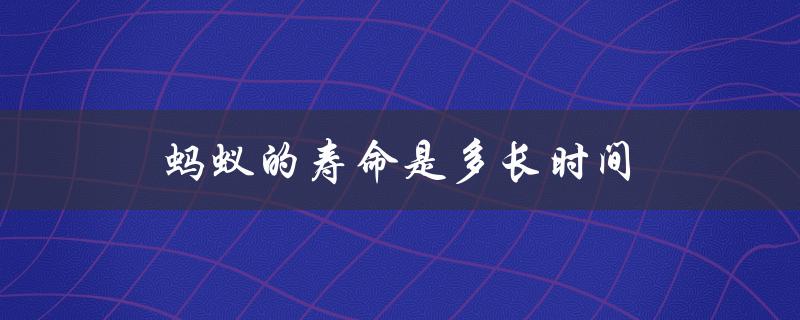 蚂蚁的寿命是多长时间（蚂蚁寿命多长）