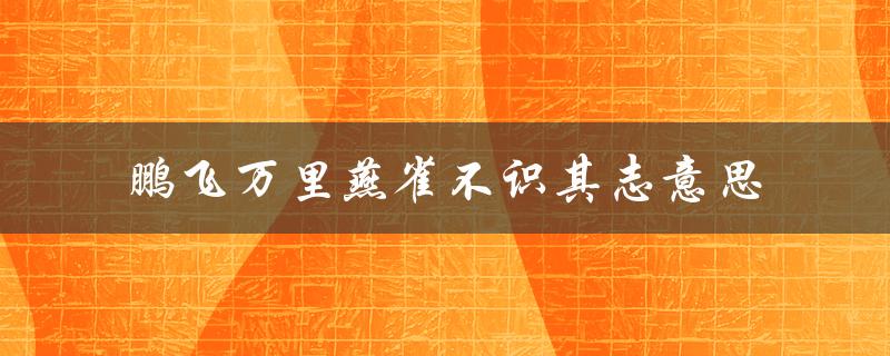 鹏飞万里燕雀不识其志意思（鹏飞万里的志向是什么）