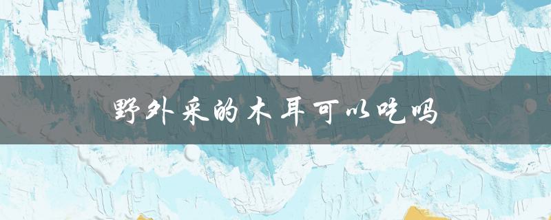 野外采的木耳可以吃吗（野生木耳可食用吗）