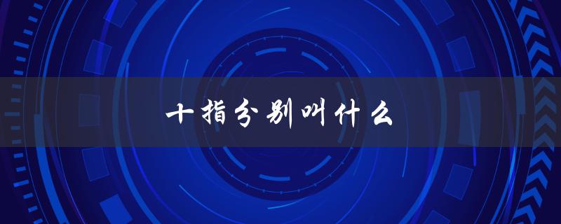 十指分别叫什么（十二月份叫什么月）