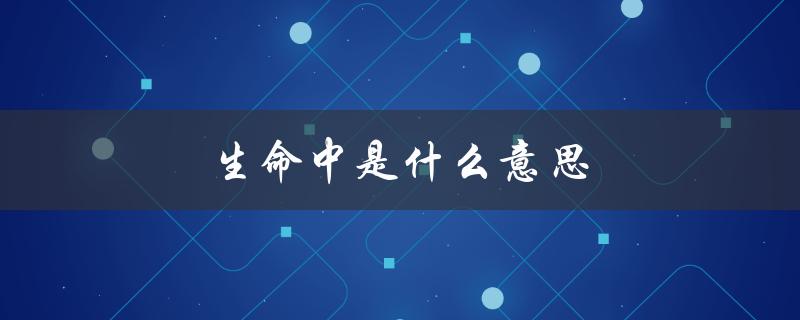 生命中是什么意思（生命意义何在）