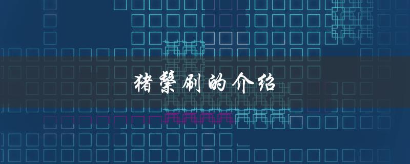 猪鬃刷的介绍（什么是猪鬃刷）