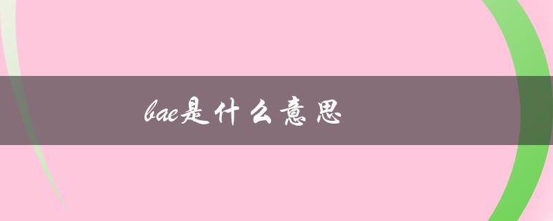 bae是什么意思（bae是什么意思的缩写）