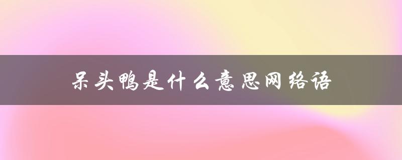 呆头鸭是什么意思网络语（青头鸭是什么）