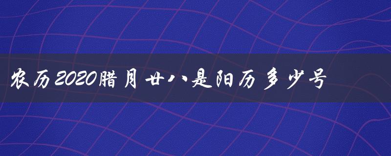 农历2020腊月廿八是阳历多少号（求解农历阳历转换方法）