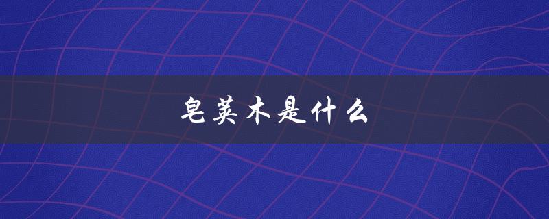 皂荚木是什么（皂荚木的含义是什么）