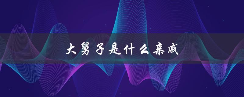 大舅子是什么亲戚（大舅子是什么关系）