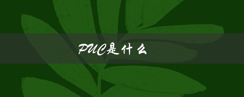 PUC是什么（PVC材质是什么）