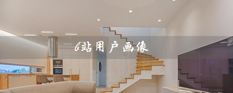 b站用户画像（B站用户画像分析是什么）