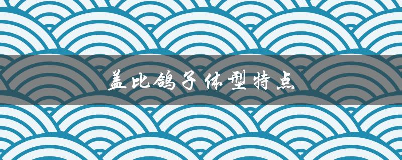 盖比鸽子体型特点（盖比鸽子有哪些特点）