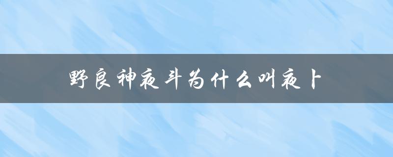 野良神夜斗为什么叫夜卜：解析日本神话中的卜字含义