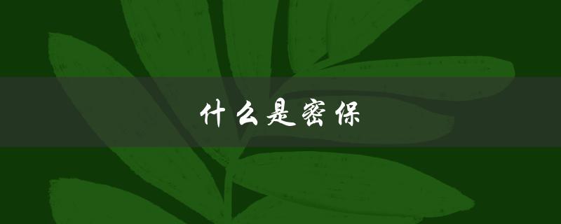 什么是密保（密保手机号是什么）