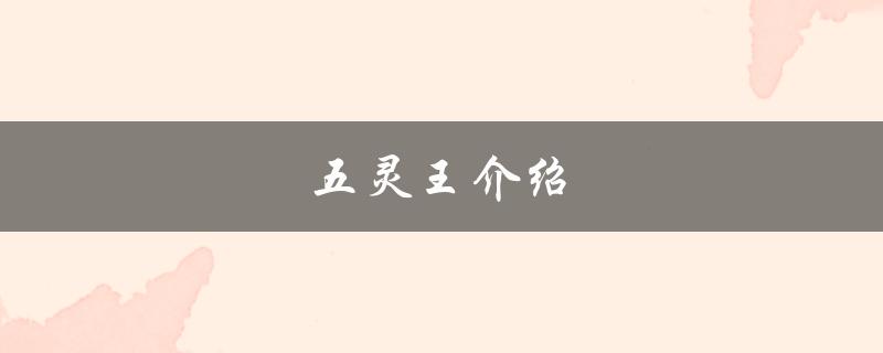 五灵王介绍（五灵王玩具是什么）