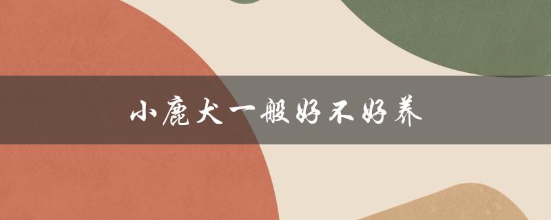 小鹿犬一般好不好养（小鹿犬养起来方便吗优缺点是什么）