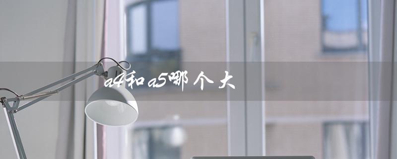 a4和a5哪个大（a4和b5谁大）