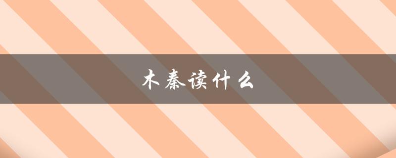 木秦读什么（木秦英语学习方式）