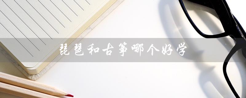 琵琶和古筝哪个好学（琵琶与古筝哪好学50岁）