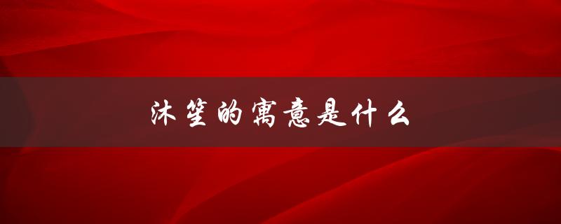 沐笙的寓意是什么（笙的寓意是什么）