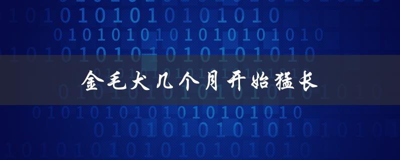 金毛犬几个月开始猛长（金毛犬几个月能长大）