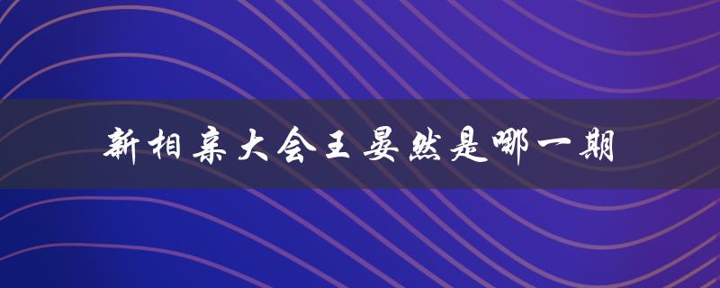 新相亲大会王晏然是哪一期（第二季选手）