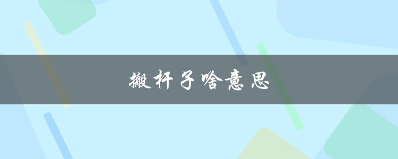 搬杆子啥意思（二杆子是什么）