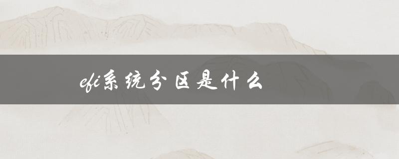 EFI系统分区的作用和特点是什么？