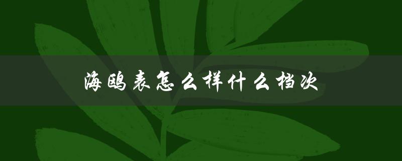 海鸥表怎么样什么档次（世界名表品牌前10）