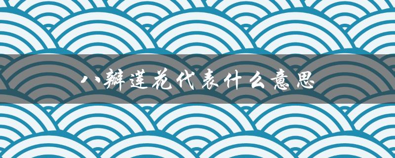 八瓣莲花代表什么意思（八朵莲花代表什么）