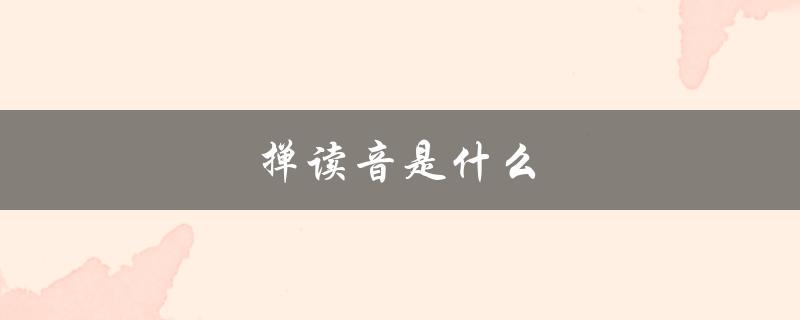 掸读音是什么（掸的读音及意思是什么）