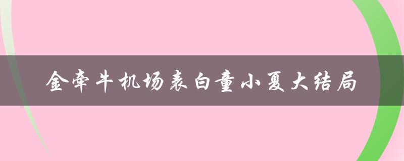 金牵牛机场表白童小夏大结局：爱情的力量超越距离和时间