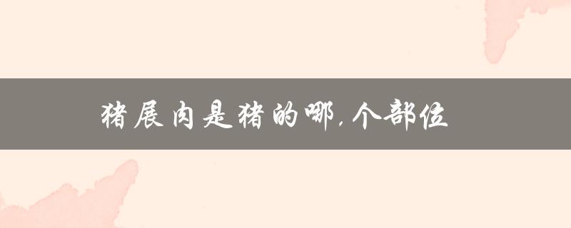猪展肉是猪的哪个部位（了解猪身体结构及肉类分部）