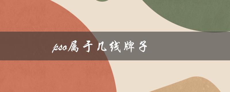 pso属于几线牌子（了解不同线路品牌的特点）