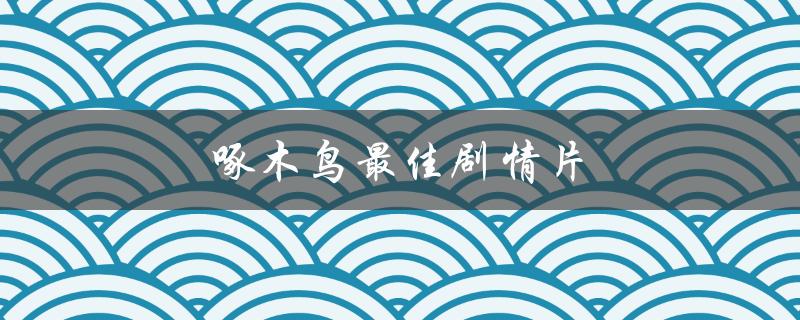 啄木鸟最佳剧情片（探索人性的深度之旅）