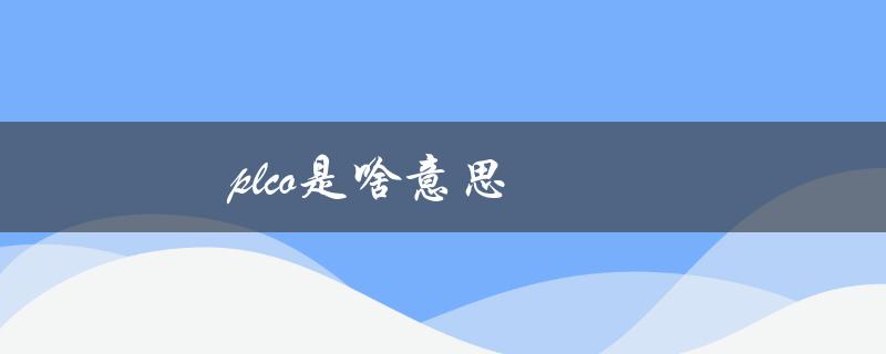 plco是啥意思（PLC是什么）