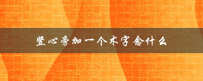 竖心旁加一个术字念什么（常见的汉字部首）