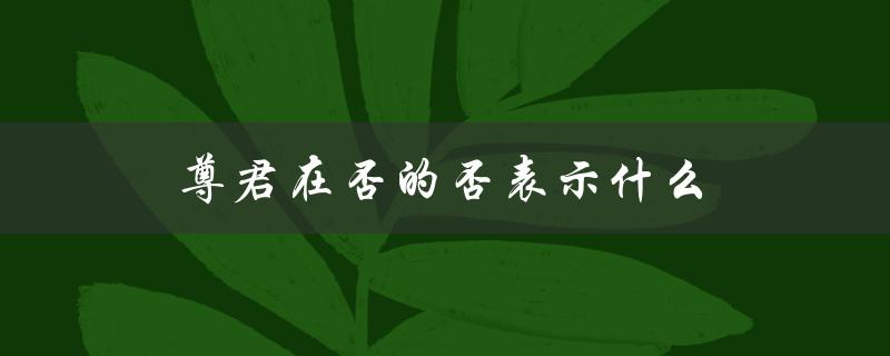 尊君在否的否表示什么（解析否在古代文化中的重要意义）