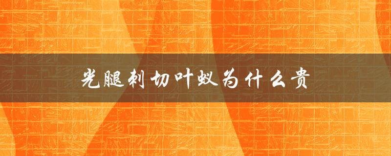 光腿刺切叶蚁为什么贵（叶蚁光腿刺切后吃什么）