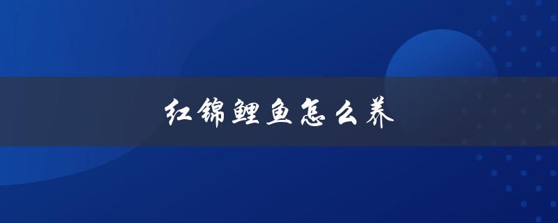 红锦鲤鱼怎么养（红锦鲤怎么养）