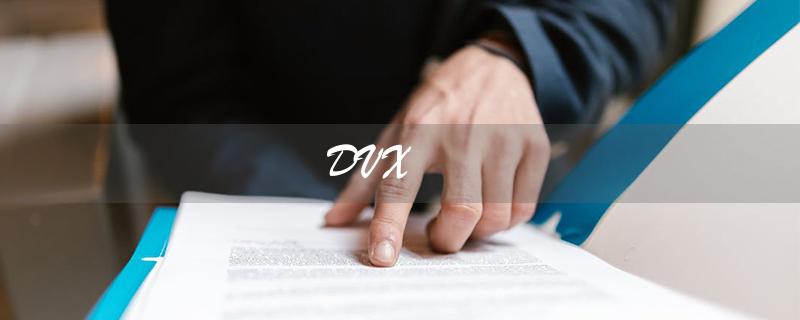 DVX（dvxan20是什么）