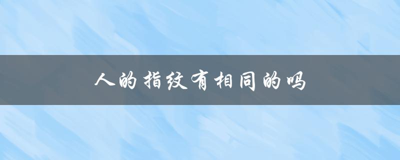 解密人类独特的指纹密码