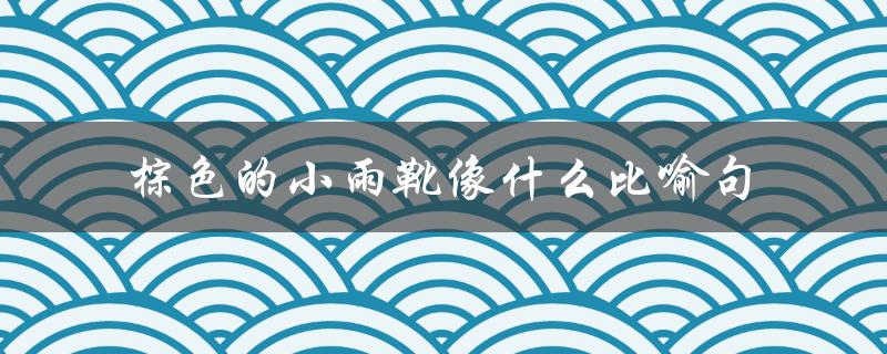 棕色的小雨靴像什么比喻句（小雨靴的比喻是什么）
