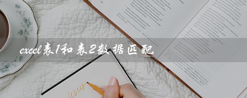 excel表1和表2数据匹配（如何匹配Excel表数据）
